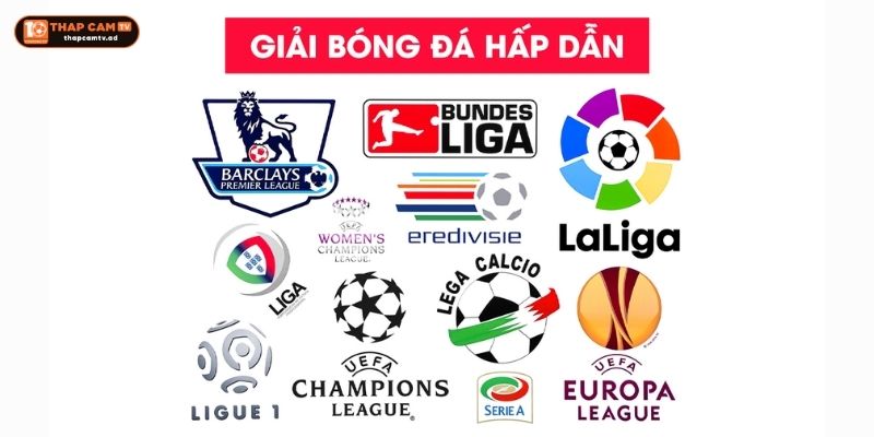 Các Giải Đấu Bóng Đá