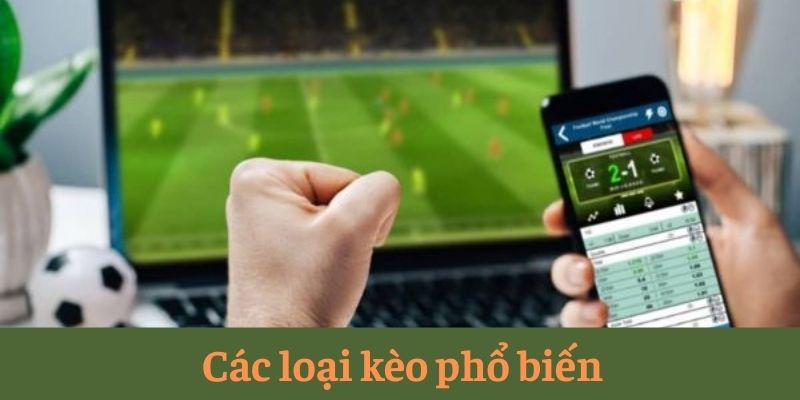 Các loại kèo phổ biến