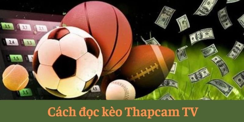 Cách đọc kèo Thapcam TV Cách đọc kèo Thapcam TV