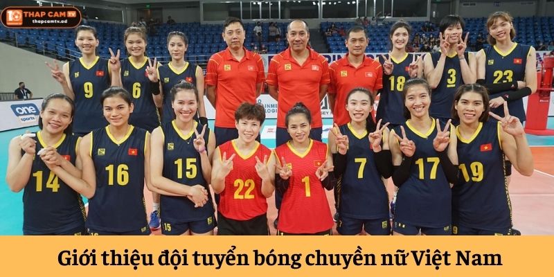 Giới thiệu đội tuyển bóng chuyền nữ Việt Nam Giới thiệu đội tuyển bóng chuyền nữ Việt Nam